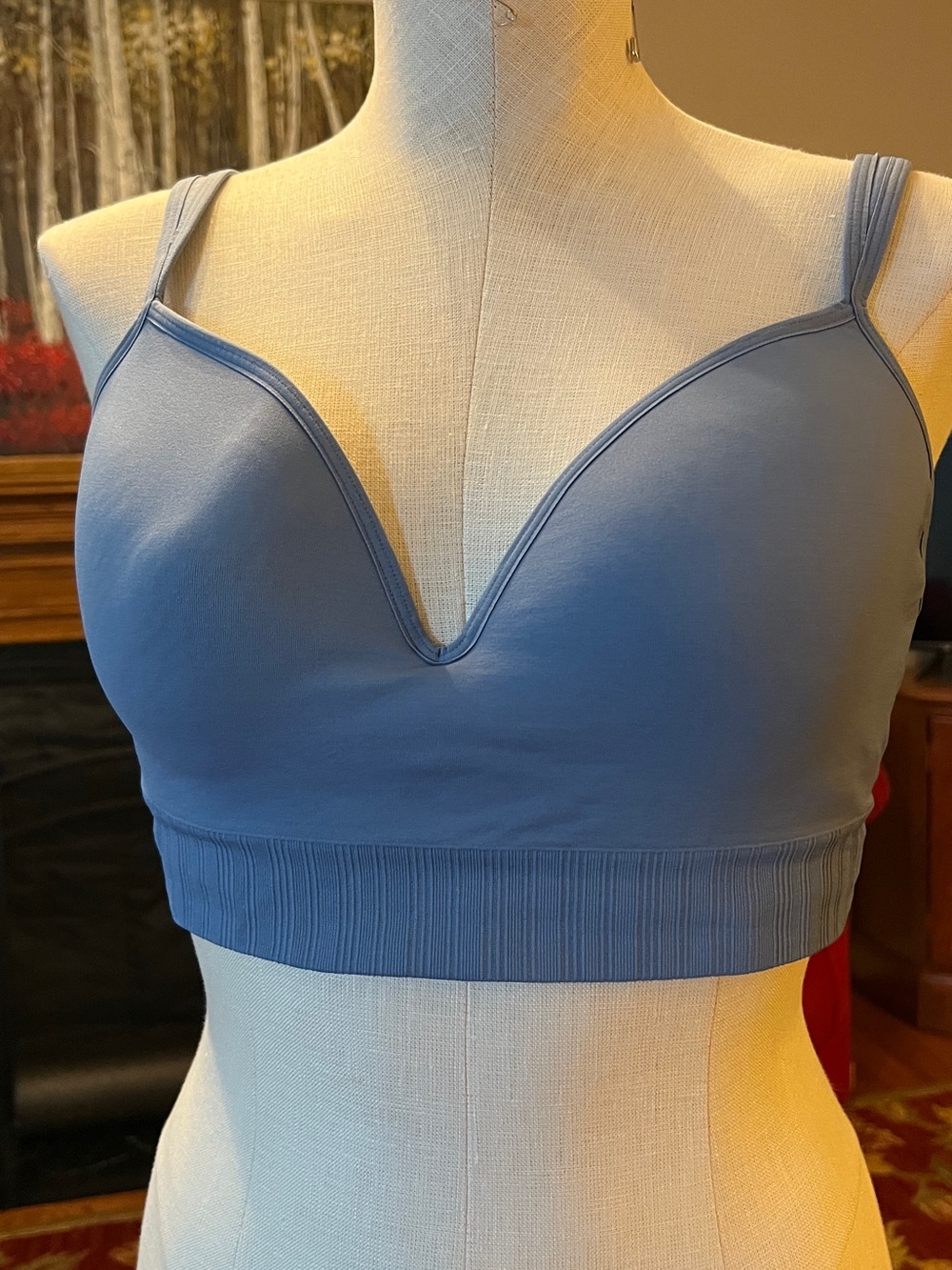 Athleta Soft Indigo Wireless V-Neck Bralette